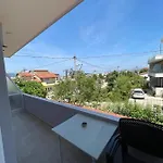 Bega * كساميل